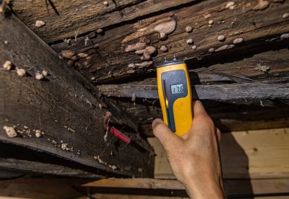 cons-pier-beam-foundation-wood-rot